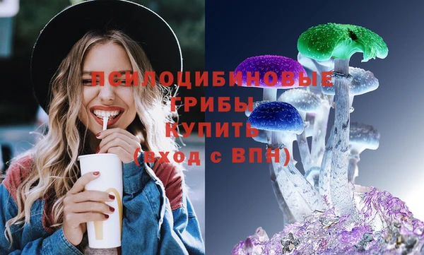 индика Верхнеуральск